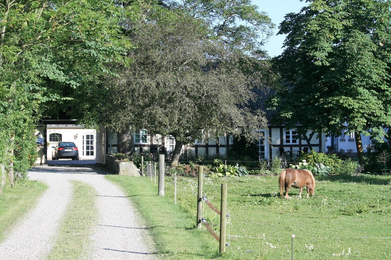 Rodkaergard Bed&Breakfast Kerteminde Exterior photo